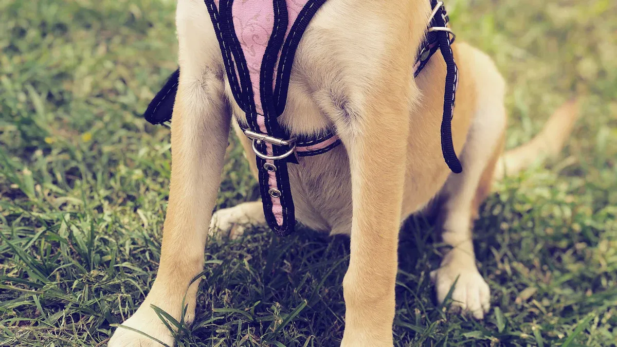 Escape-resistant dog harness showing ribcage girth strap placement