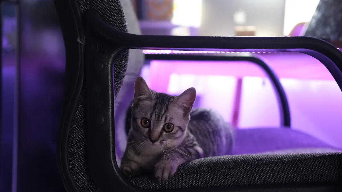 Traveler pulling a rolling pet carrier through an airport terminal