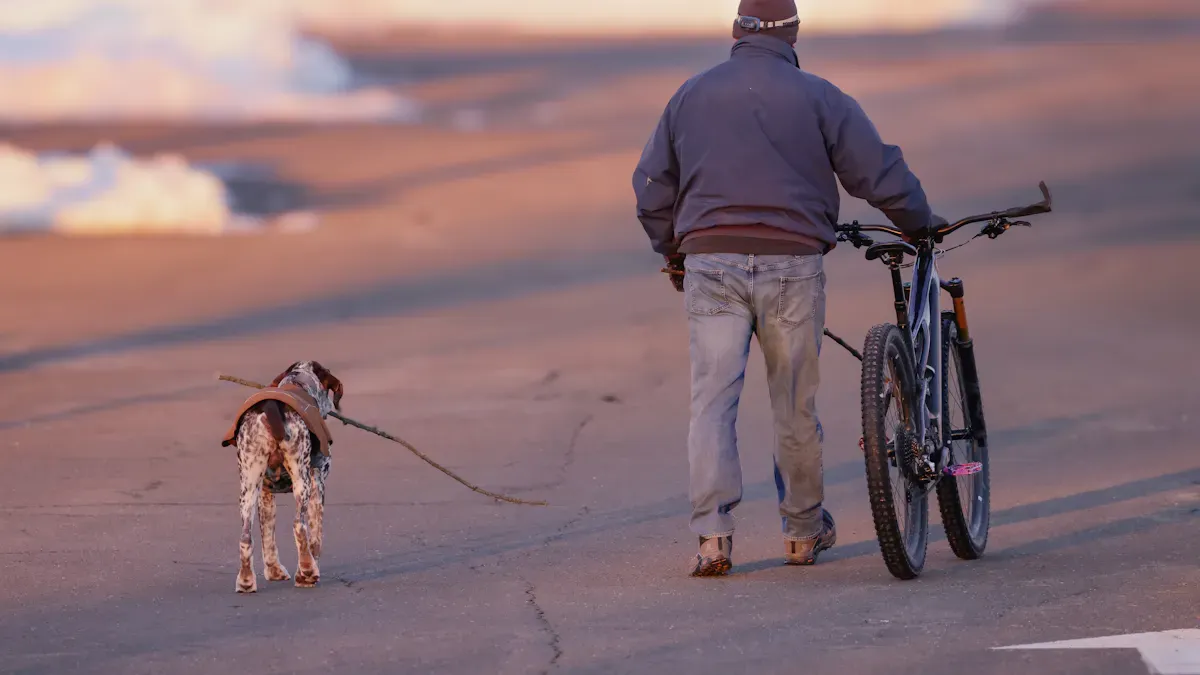 Leash handling problem during a walk
