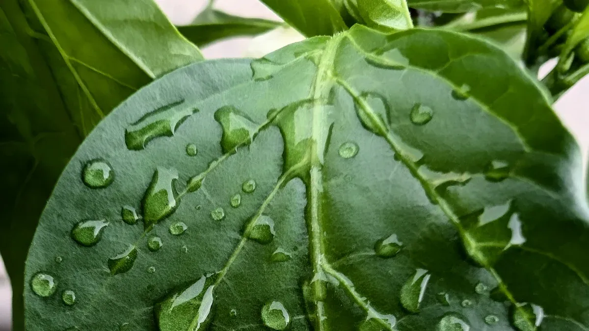 1. Wetting Agents In Everyday Life