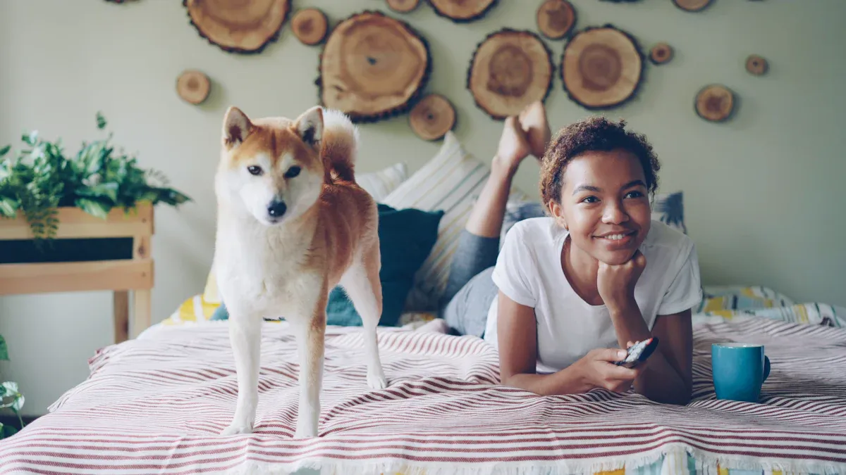 Best Human Dog Beds 2026