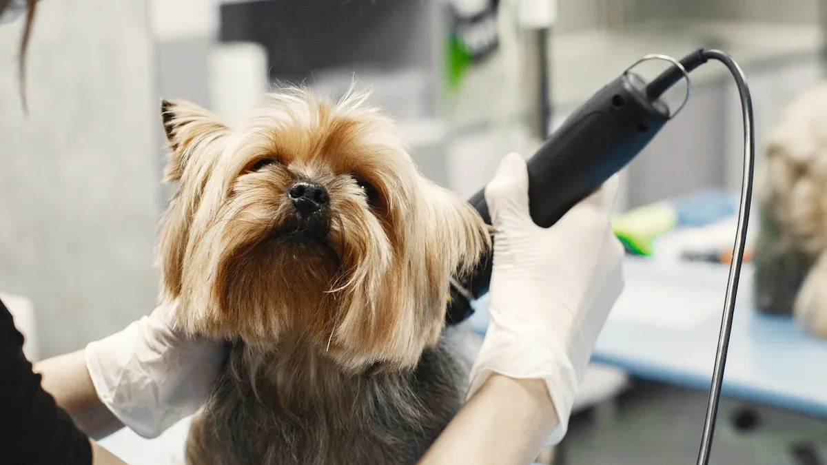 Top LED Pet Nail Trimmer Picks