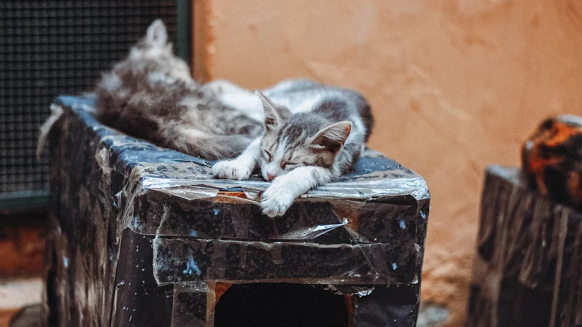 Cat Litter Odor Eliminator Comparison