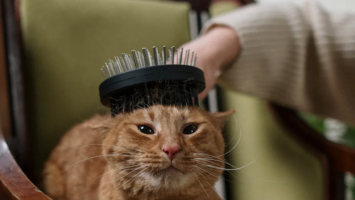 10 Top Cat Grooming Brushes Loved by Owners