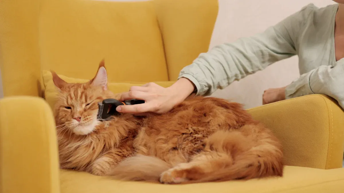 Why Brushing Matters