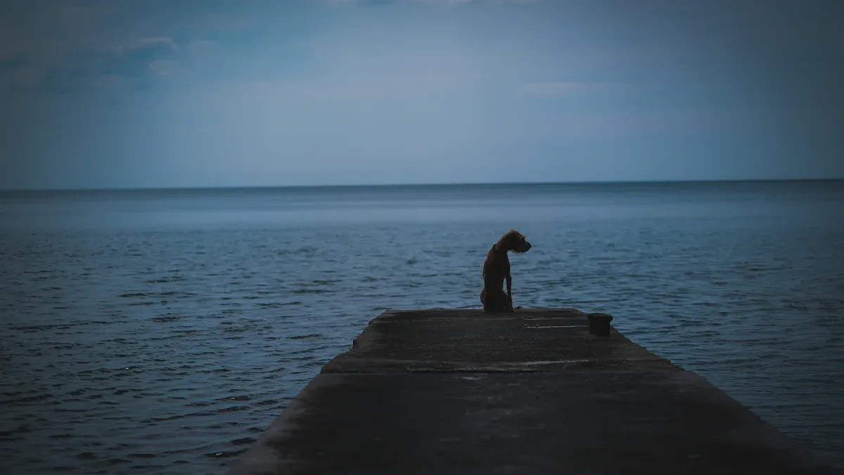 After Stopping SAD Light