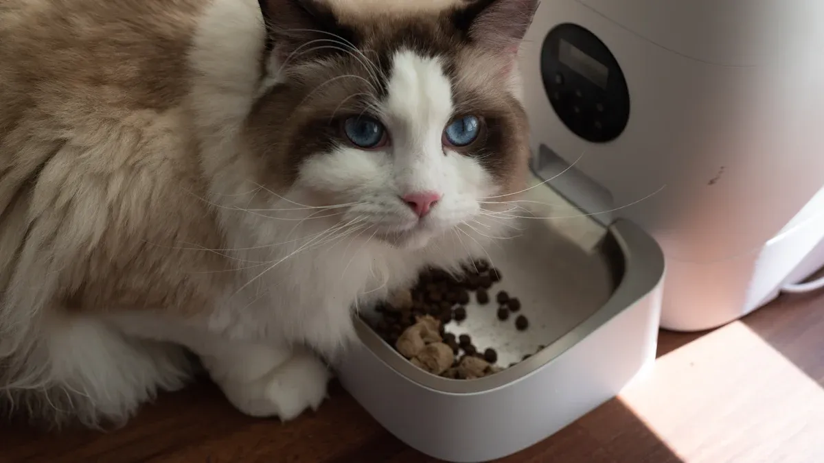 Product Reviews: Smart Pet Feeder for Wet Meals
