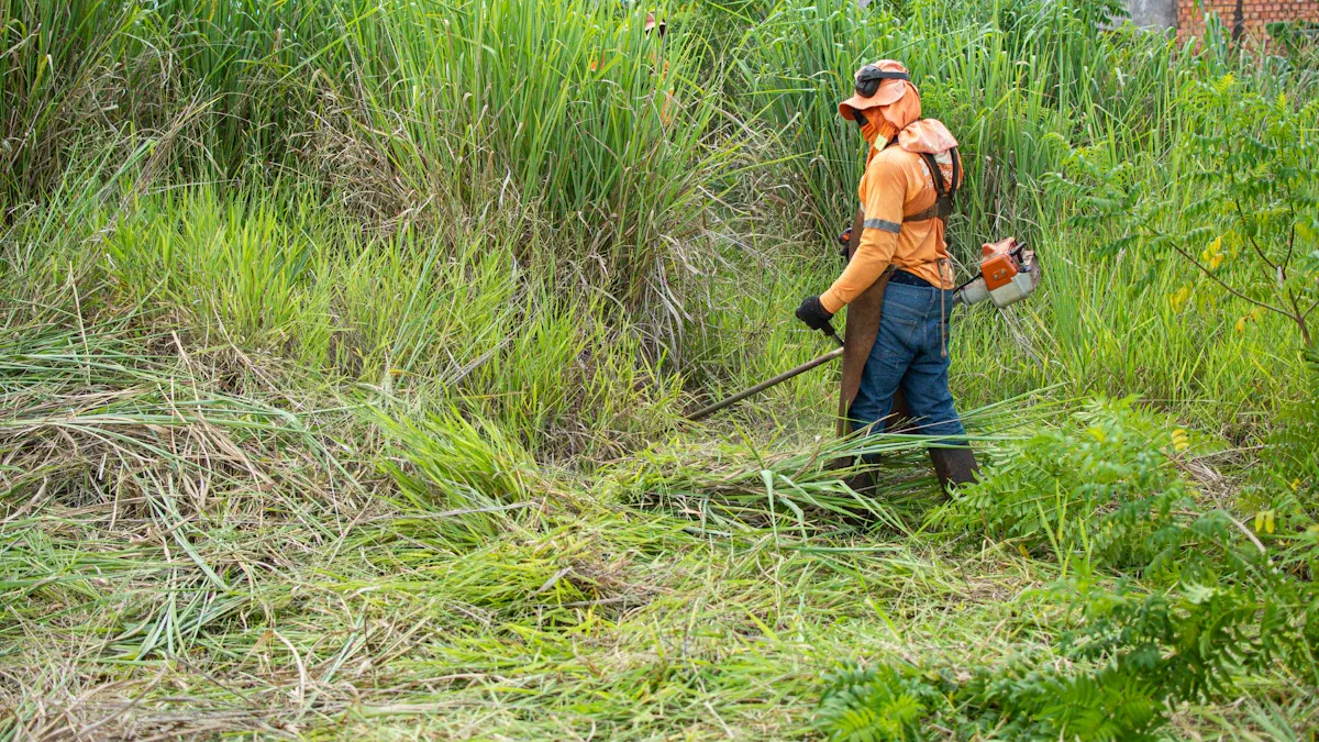 Field and Brush Mower vs. Lawn Mower