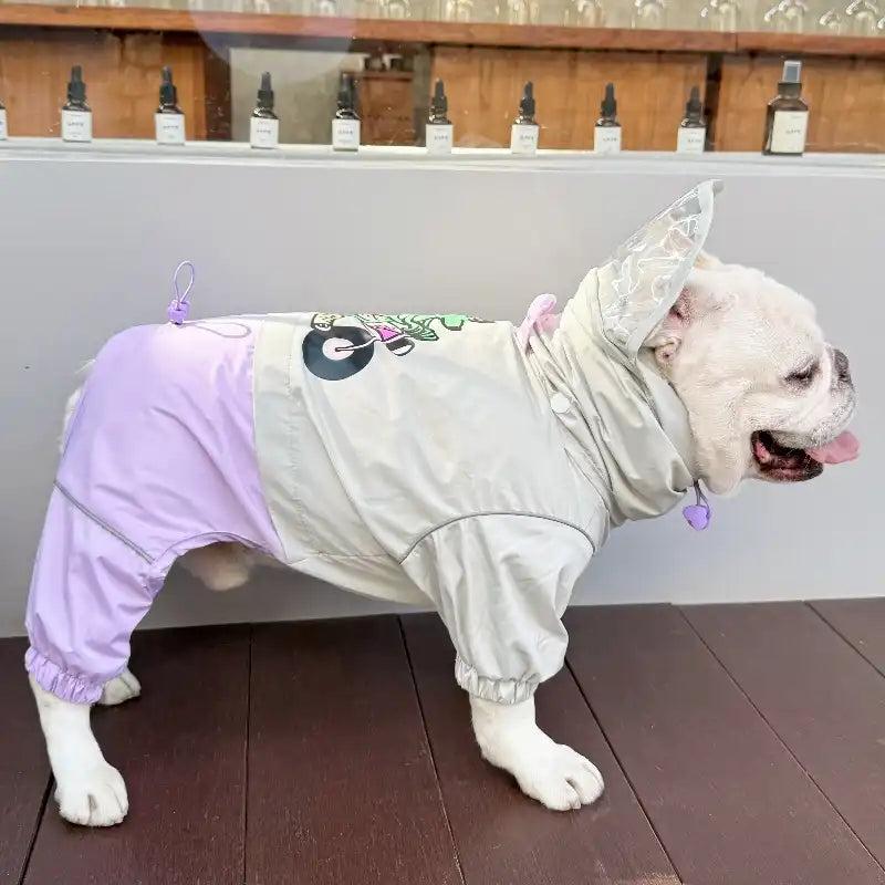 Rainy Walk Safety