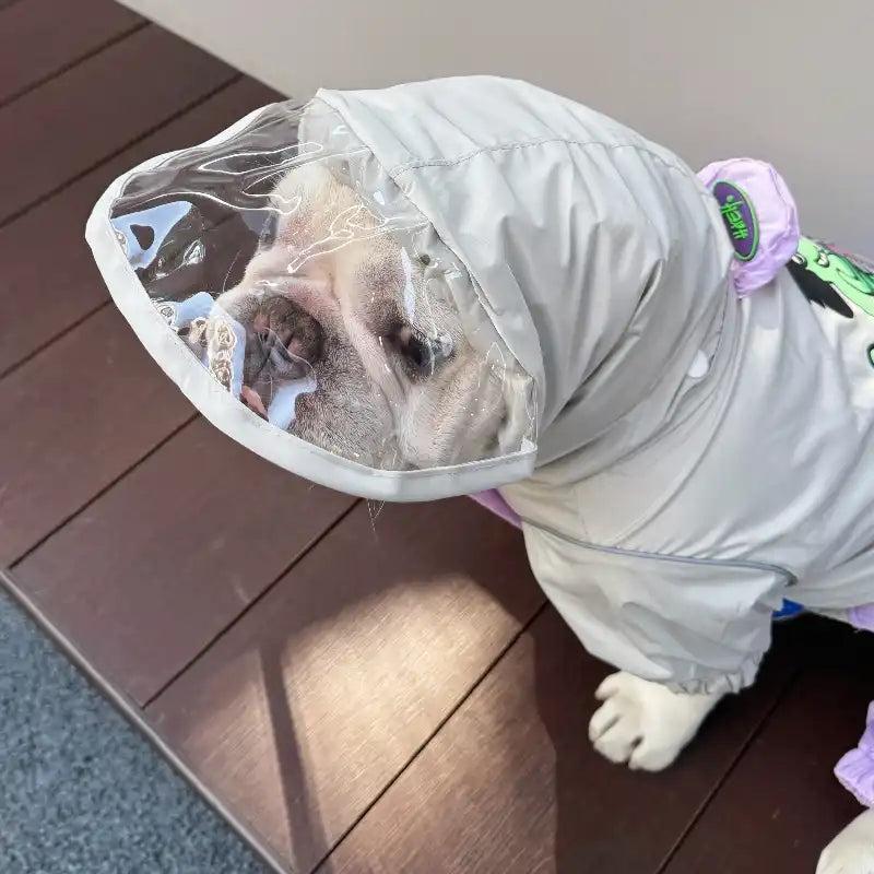 Why Use Raincoats for Dogs