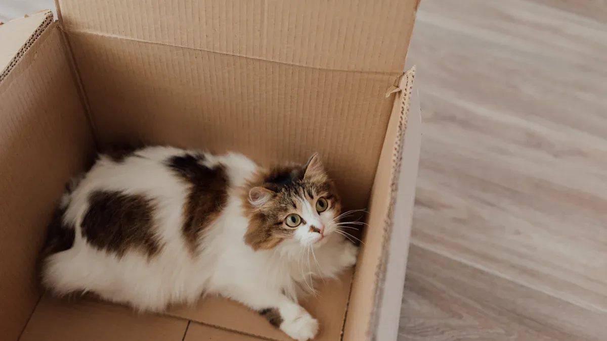 How the Top Cat Litter Box Deodorization Kits Stack Up