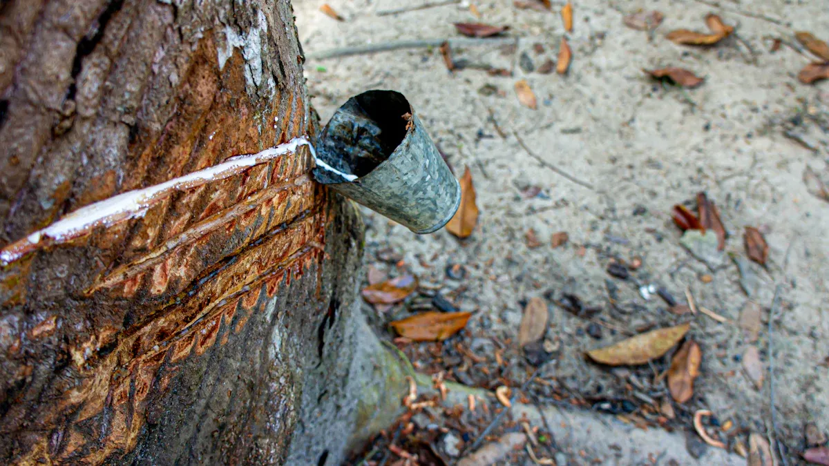 How Ancient Cultures Discovered and Used Natural Latex