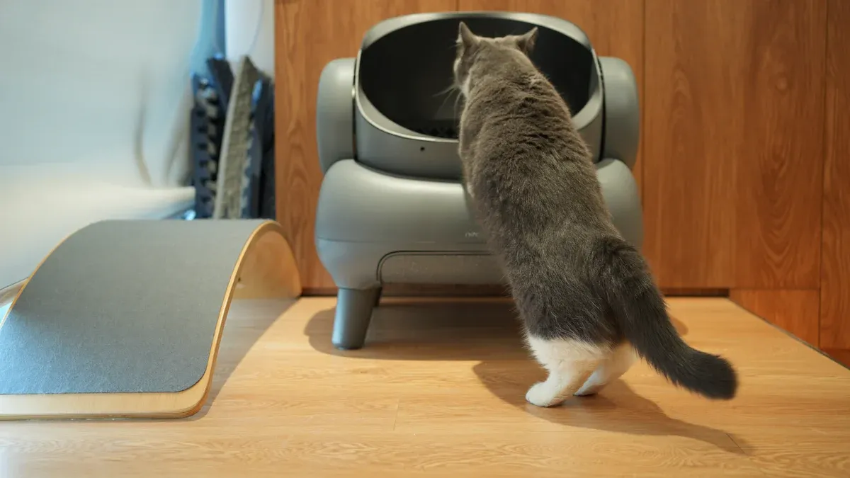 Top 10 Litter Boxes and Scoops for Large Cats