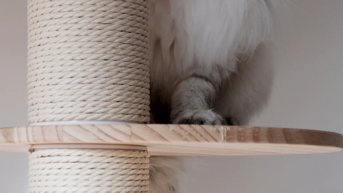 How Did We Test and Rate the Cat Trees