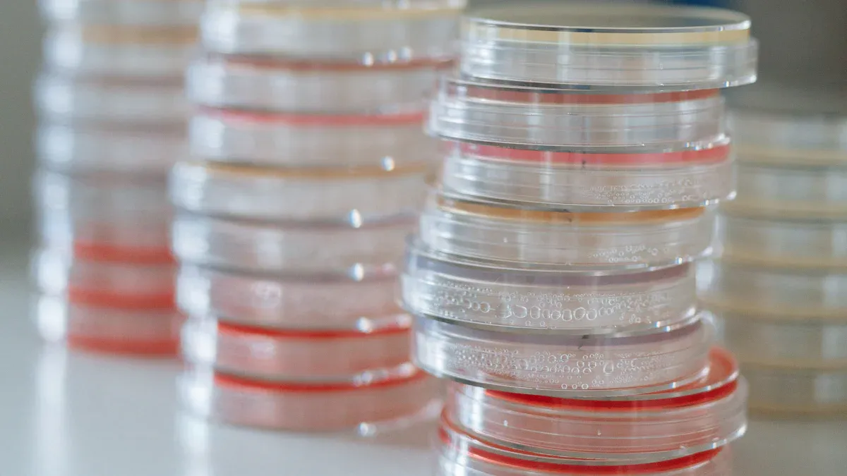 What is a biochemical incubator and how does it work