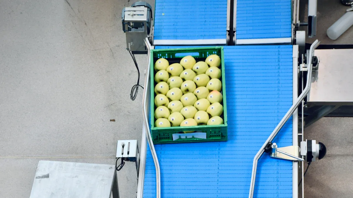 What Is A Check Weigher And How Does It Work