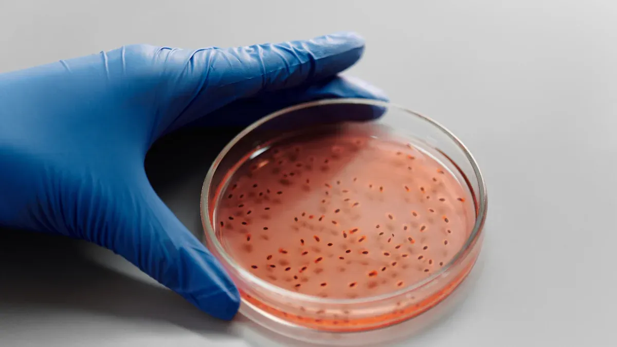 Microbial Identification Methods