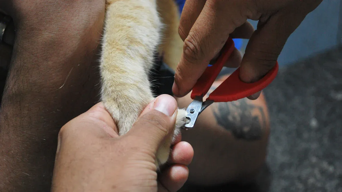 Step-by-Step Guide to Cutting Dog Nails