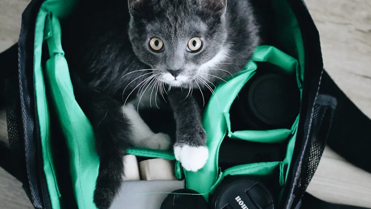 Eco-Friendly Pet Carriers