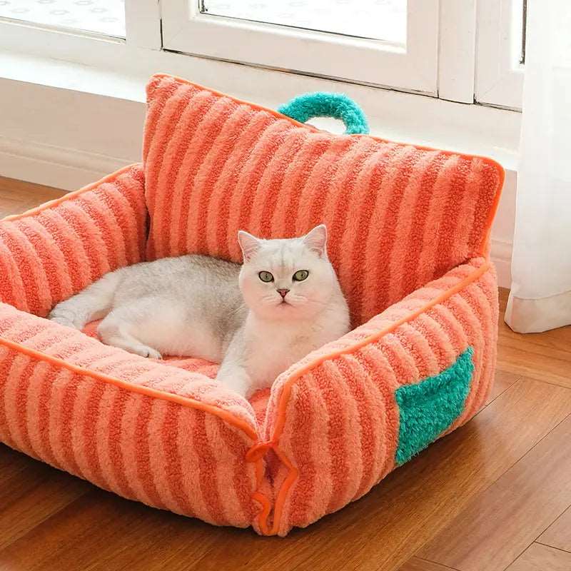 Cat Couches Provide Comfort for Your Cat