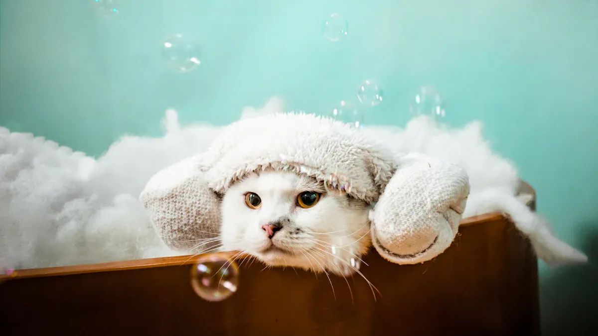 How to Safely Bathe Your Cat Without Stress or Scratches