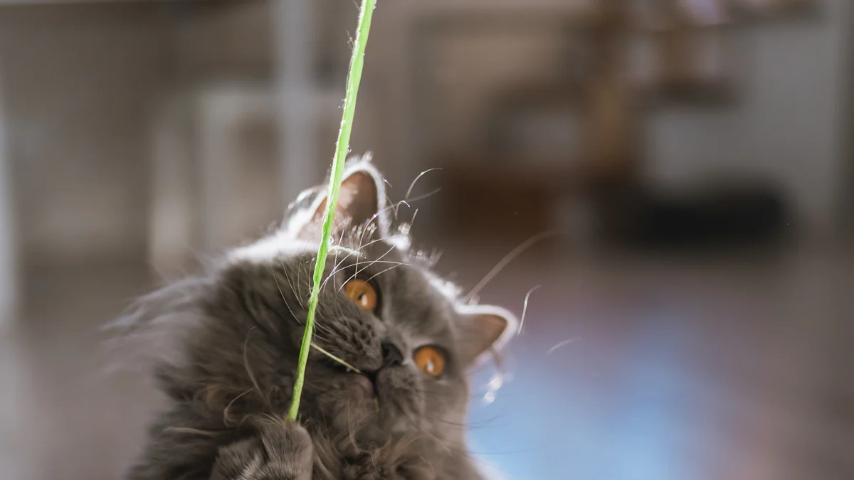 Why Every Cat Needs a Unicorn Cat Toy Wand in 2025