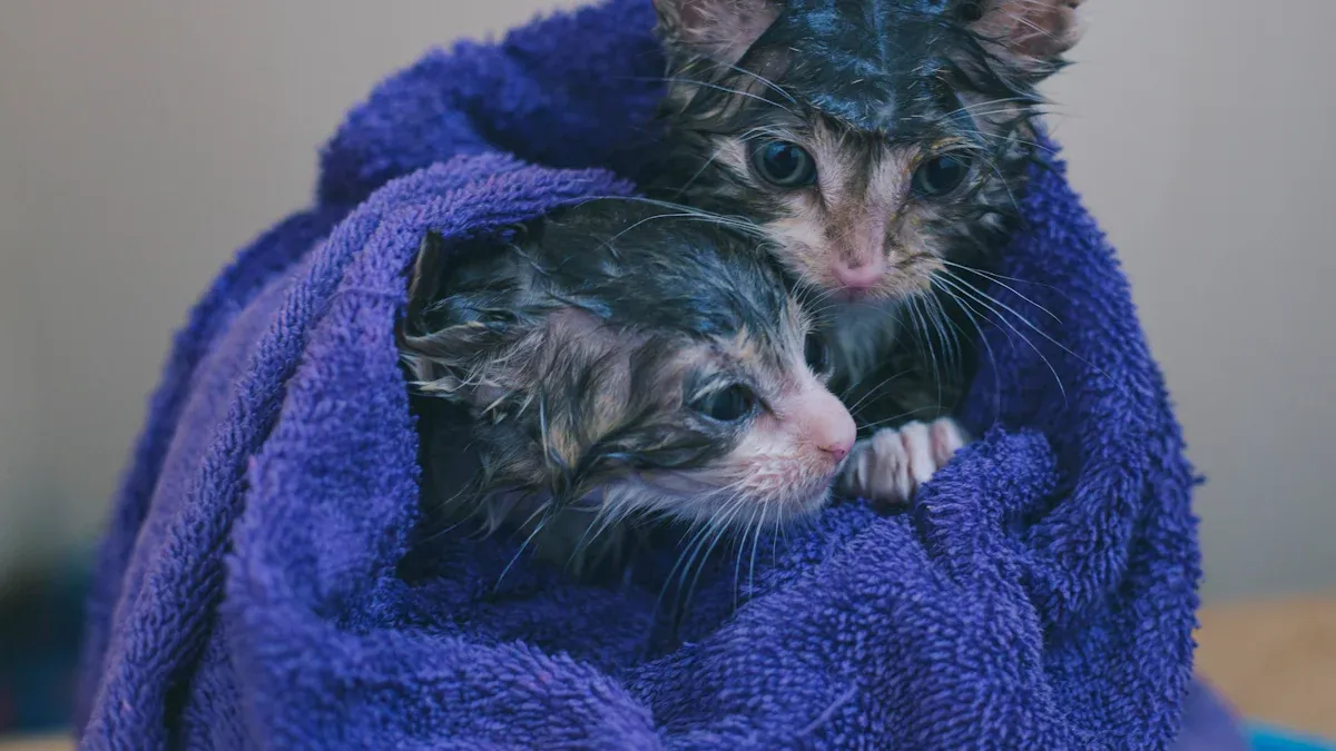 Step-by-Step Tips for Bathing Your Cat