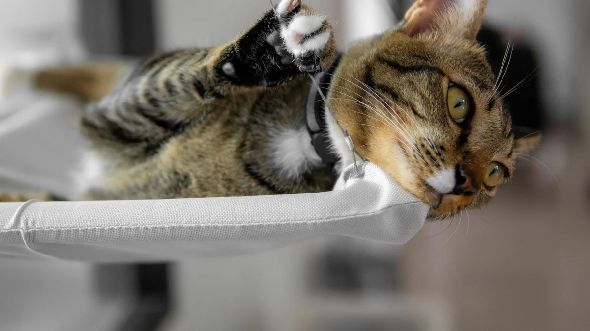 Top 10 Hanging Cat Beds for 2025