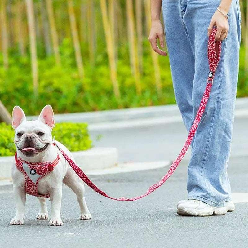 Top 3 Retractable Dog Leashes Trending on Amazon in 2025