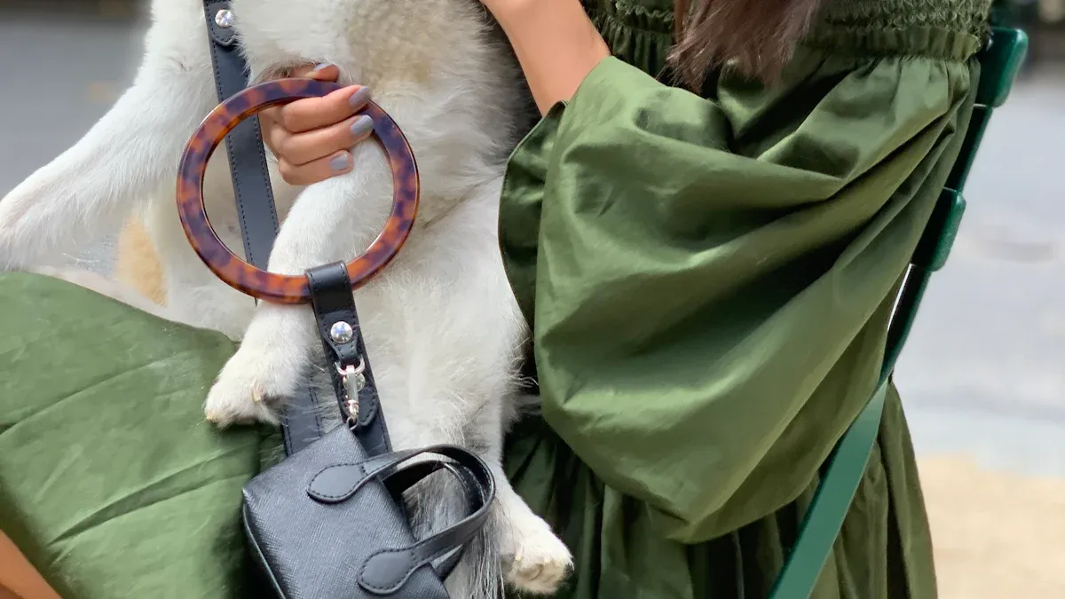 Best Dog Carriers and Cat Carriers for 2025