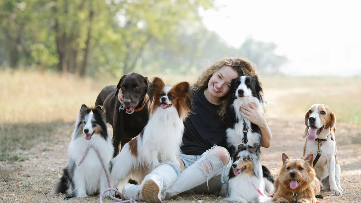 From Strays to Lifesavers: How These Dogs Became Their Owners' Best Friends