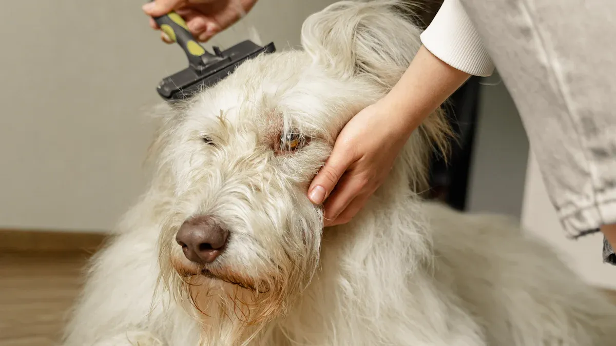 How to Reduce Dog Shedding with Brushing