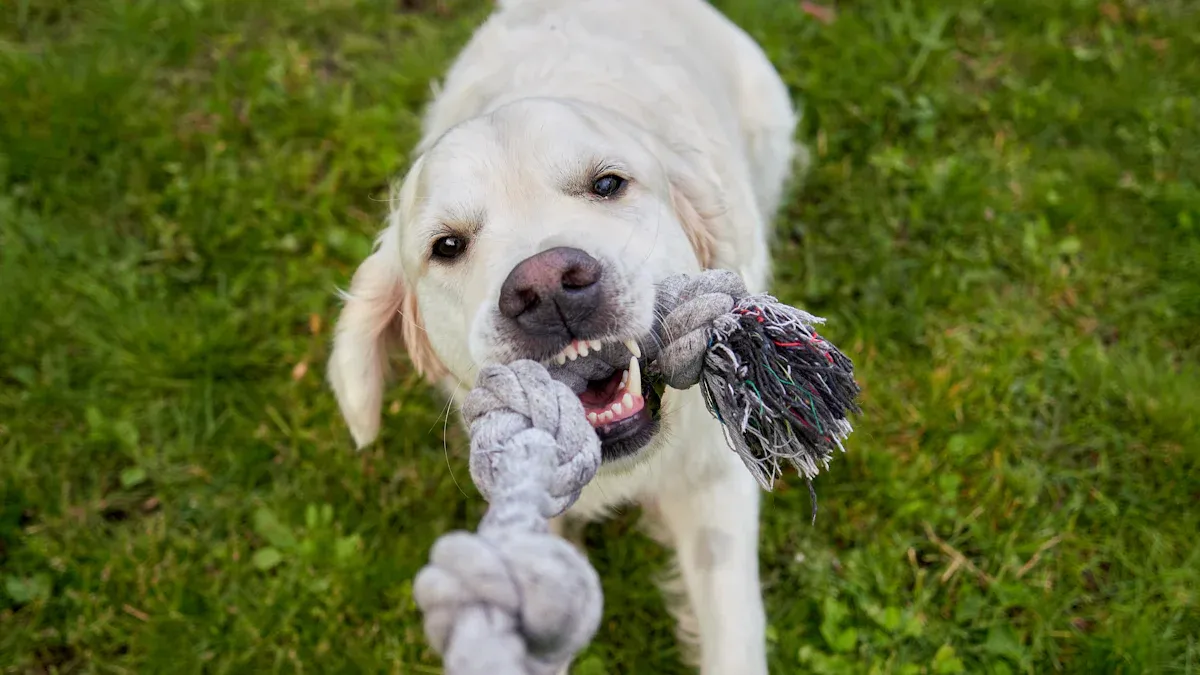 Top 10 Eco-Friendly Dog Toys for 2025