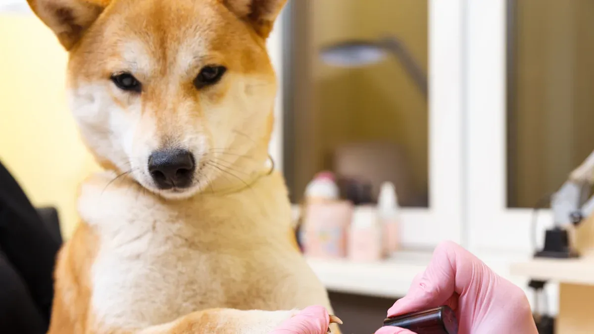 Getting Ready for a Safe Nail Trim at Home