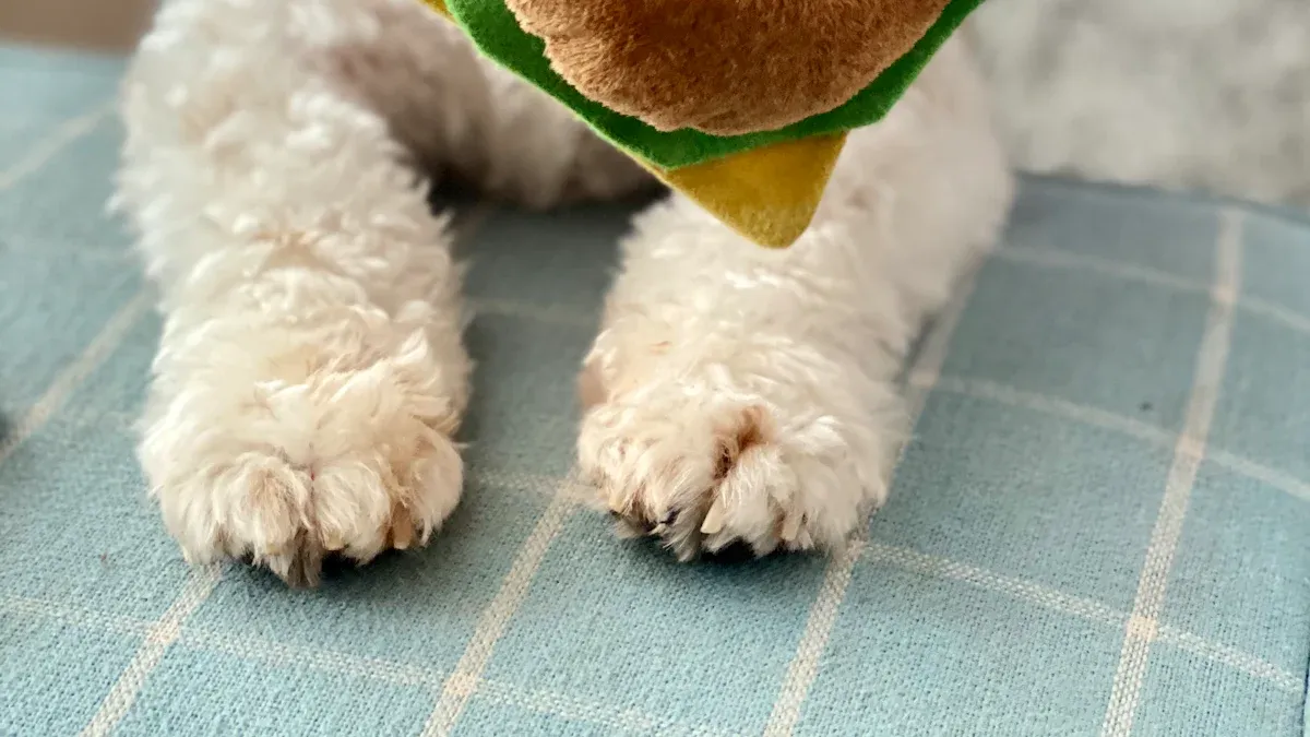 Top 10 Best Dog Plush Toys in 2025