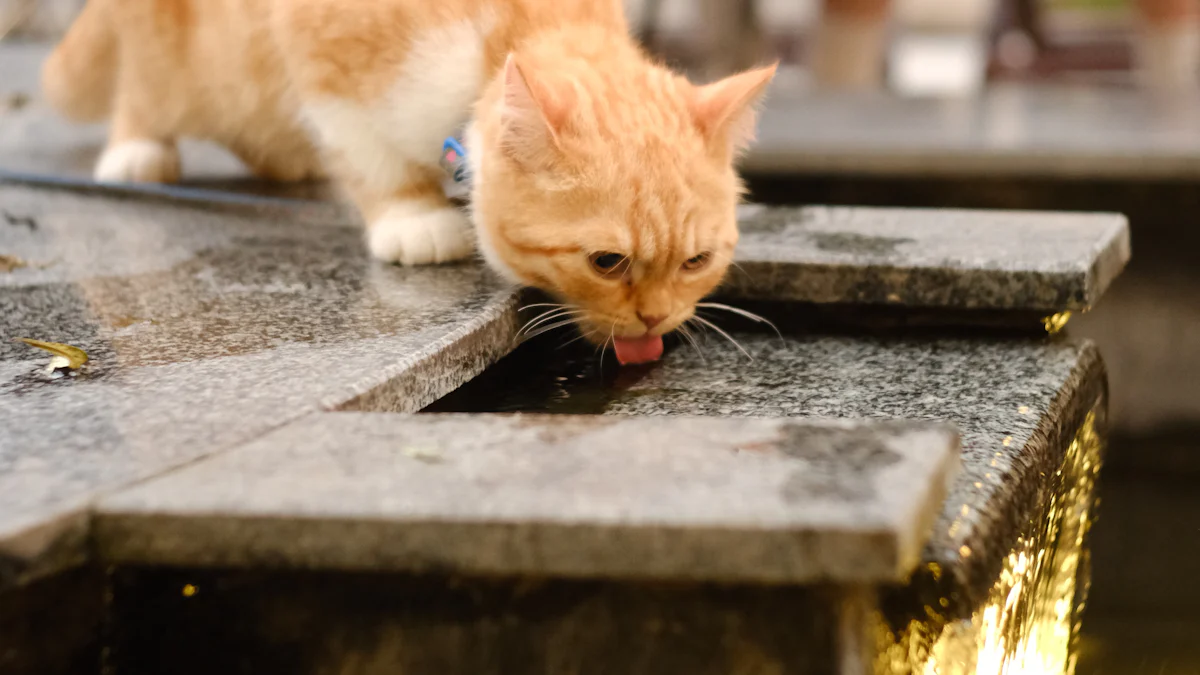 Ceramic or Stainless Steel Cat Fountain Which is Best