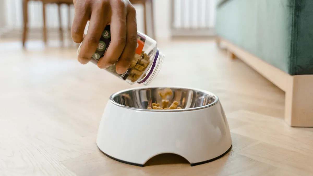 Smart Cat Bowls: The Future of Feeding