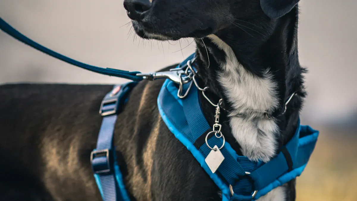 Dog Harness vs Collar: Which Is Better for Your Pet’s Safety?