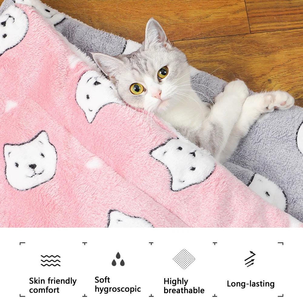 Everyday Features Cat Parents Appreciate