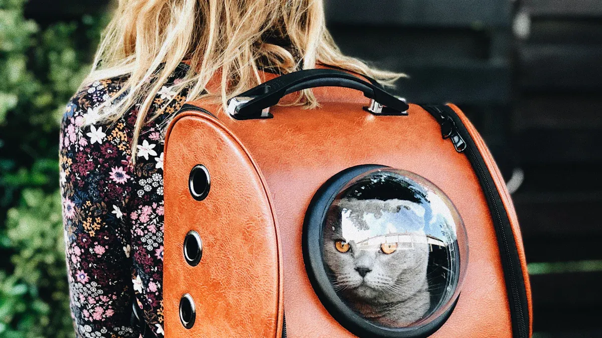 How to choose the best cat carrier for your feline