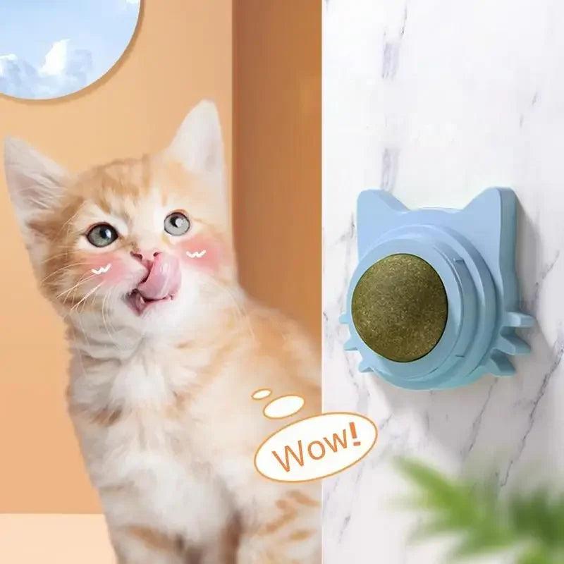 Key Benefits of Gabby Whale Cat Treat Balls