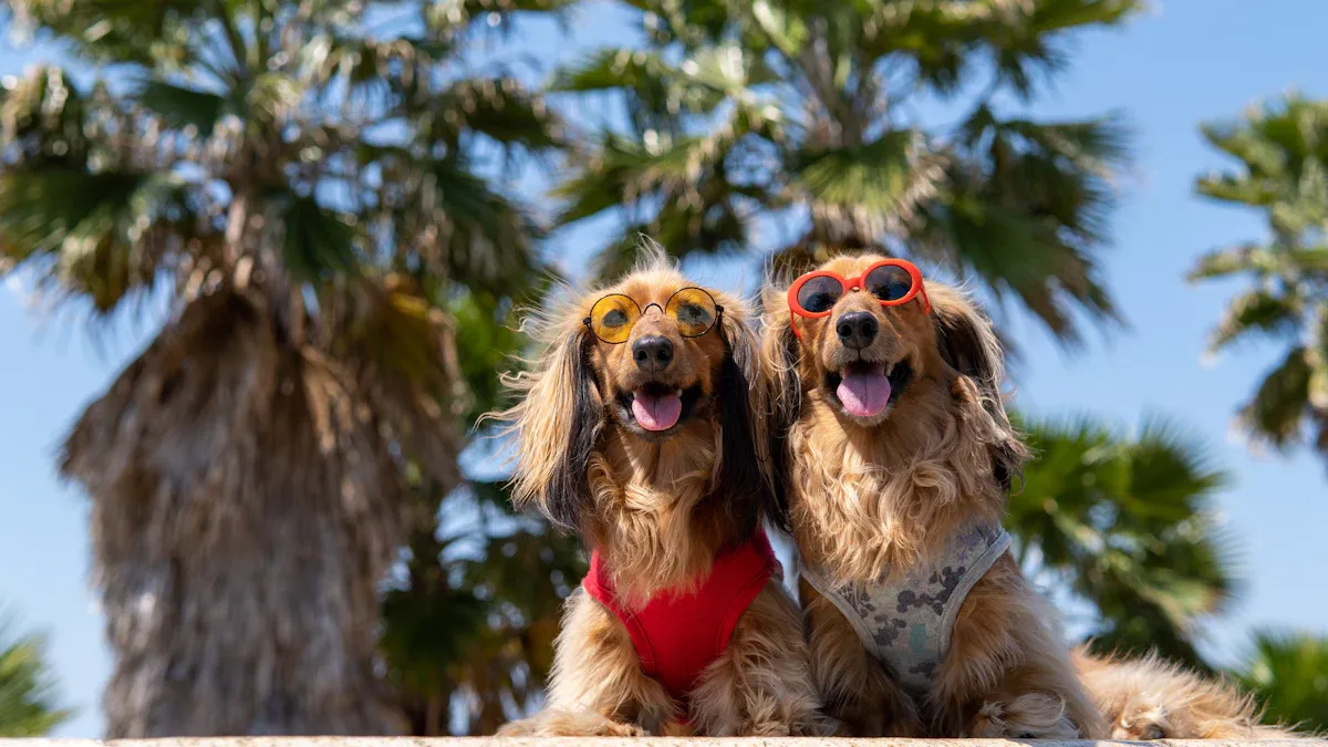Use Dog Cooling Products to Prevent Overheating