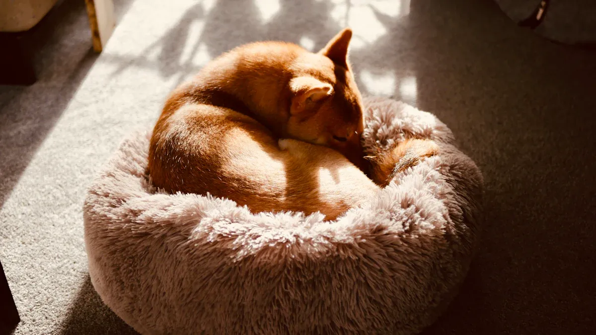 Top 10 Orthopedic Dog Beds for Joint Pain Relief in 2025