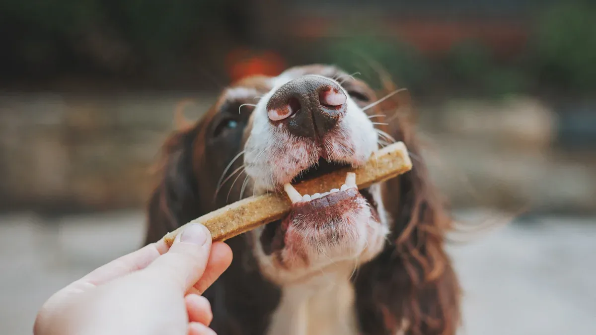 Best Dog Toys for Aggressive Chewers
