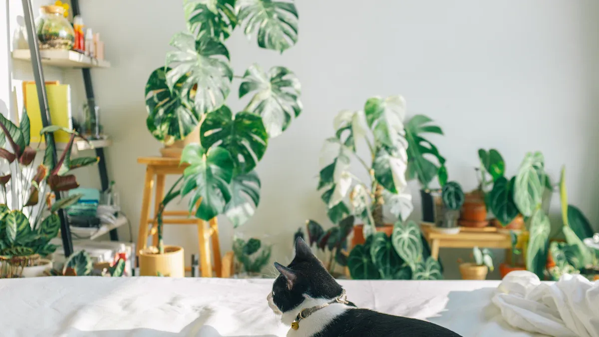 5 Reasons to Choose an Eco-Friendly Pet Bed for Your Furry Friend