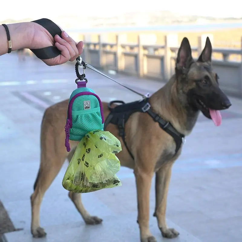 How a Poop Bag Holder Makes Walks Easy