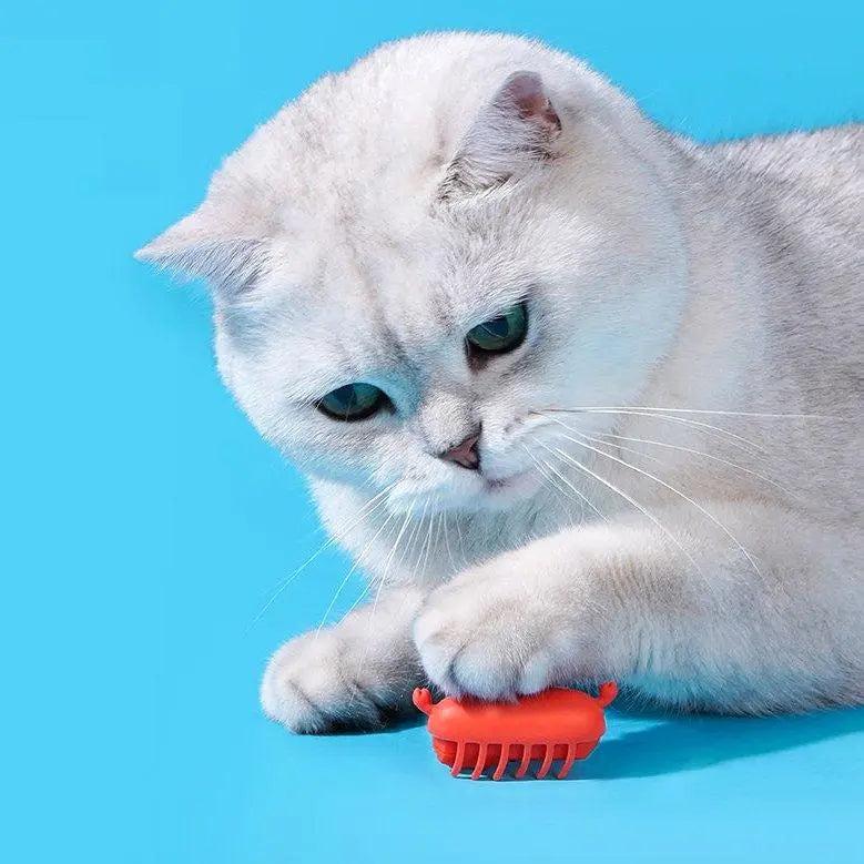 How Interactive Cat Toys Are the Ultimate Solution