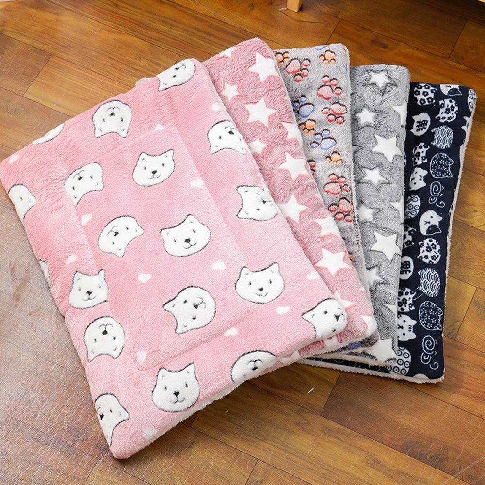 The Perfect Blend of Style and Warmth: Why Gabby Whale Heated Cat Beds Stand Out in 2025