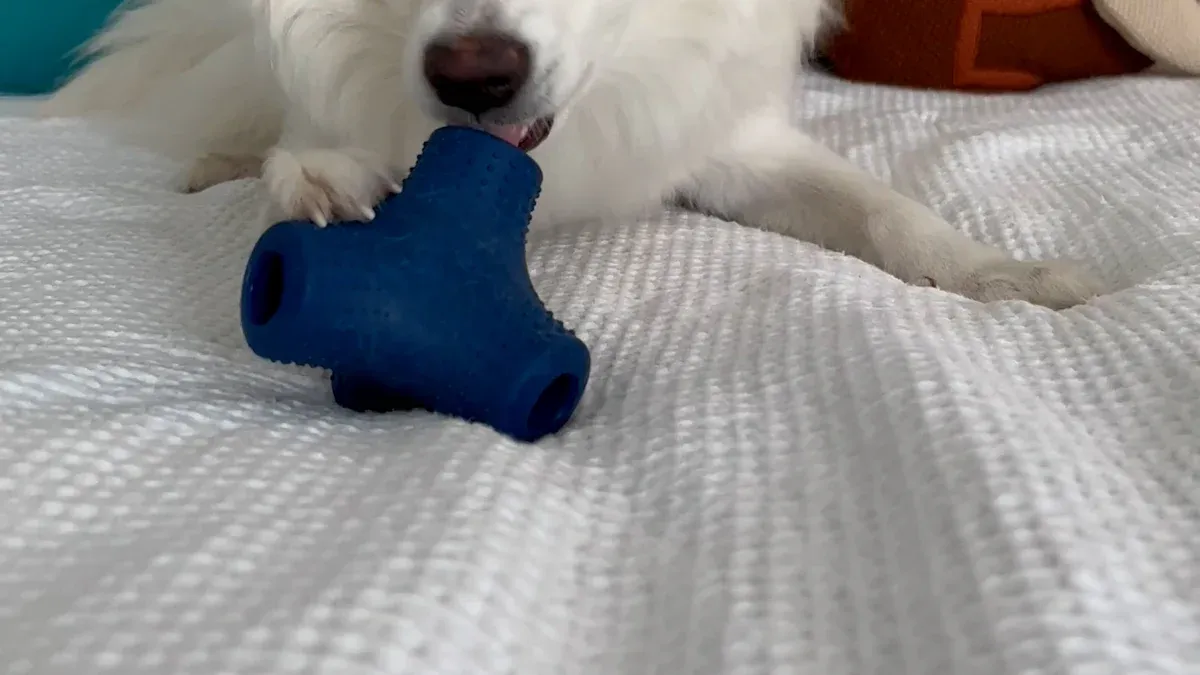 Treat Dispensing Interactive Toys