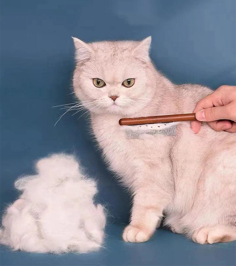 Understanding Shedding in Cats